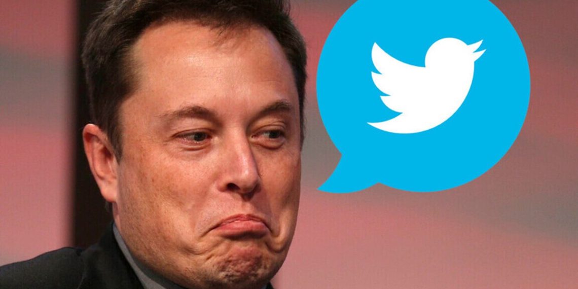 elon-musk-bots-twitter-plataforma