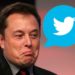 elon-musk-bots-twitter-plataforma