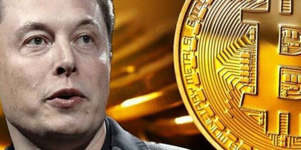 elon-musk-criptomonedas-deep-fake