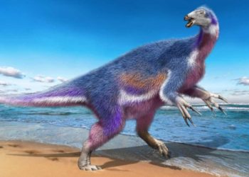 japon-especie-dinosaurio-paralitherizinosaurus-japonicus