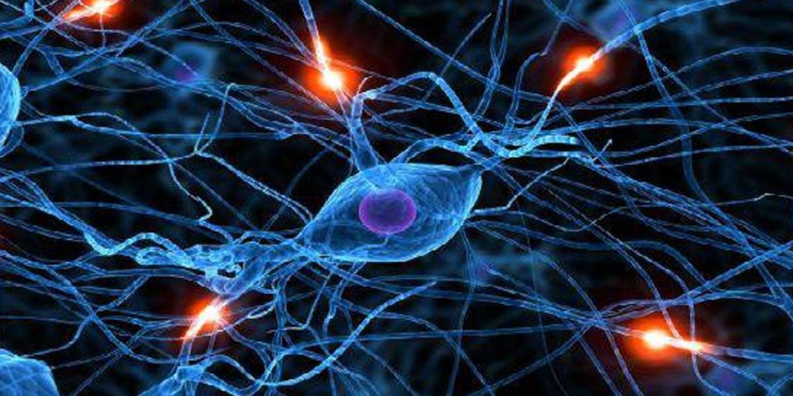 neuronas-digitales-dinapsis-medio-ambiente-tecnologia