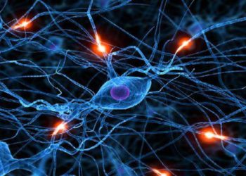 neuronas-digitales-dinapsis-medio-ambiente-tecnologia