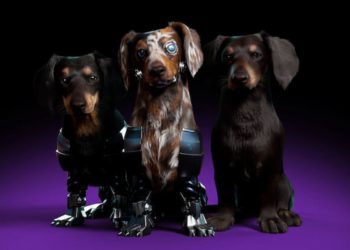 perros-metaverso-inteligencia-artificial-3d-soledad