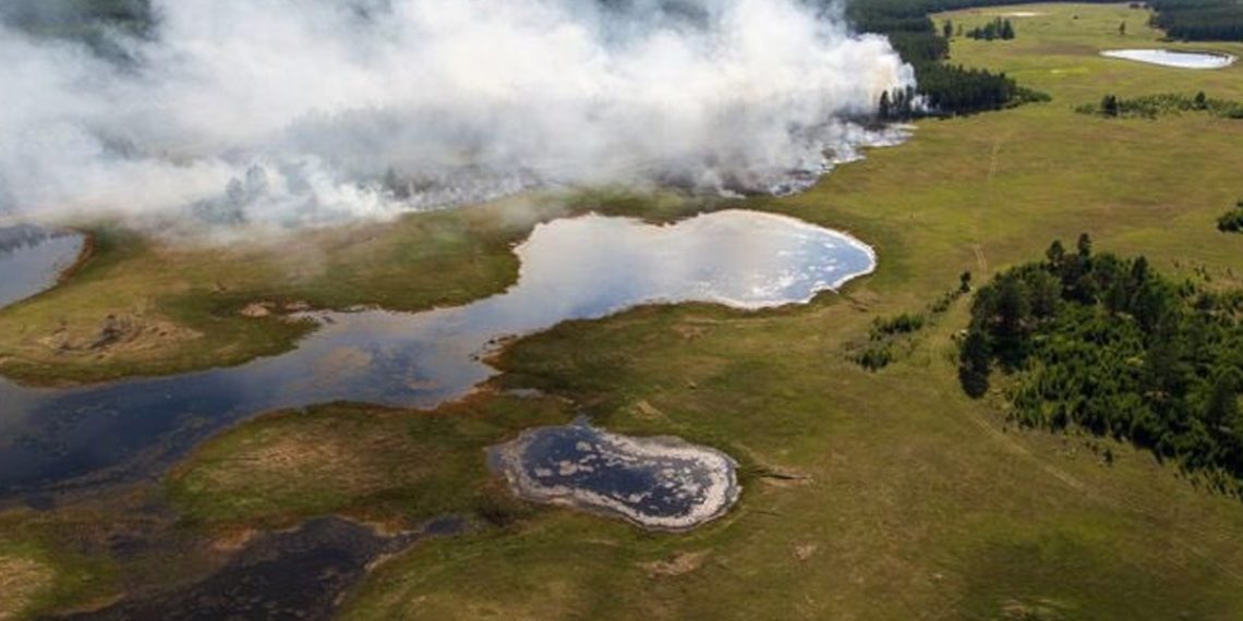 tundra-siberia-desaparecer-crisis-climatica