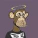 bored-ape-yacht-club-hollywood-nfts