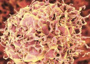 cancer-rectal-dostarlimab-enfermedad