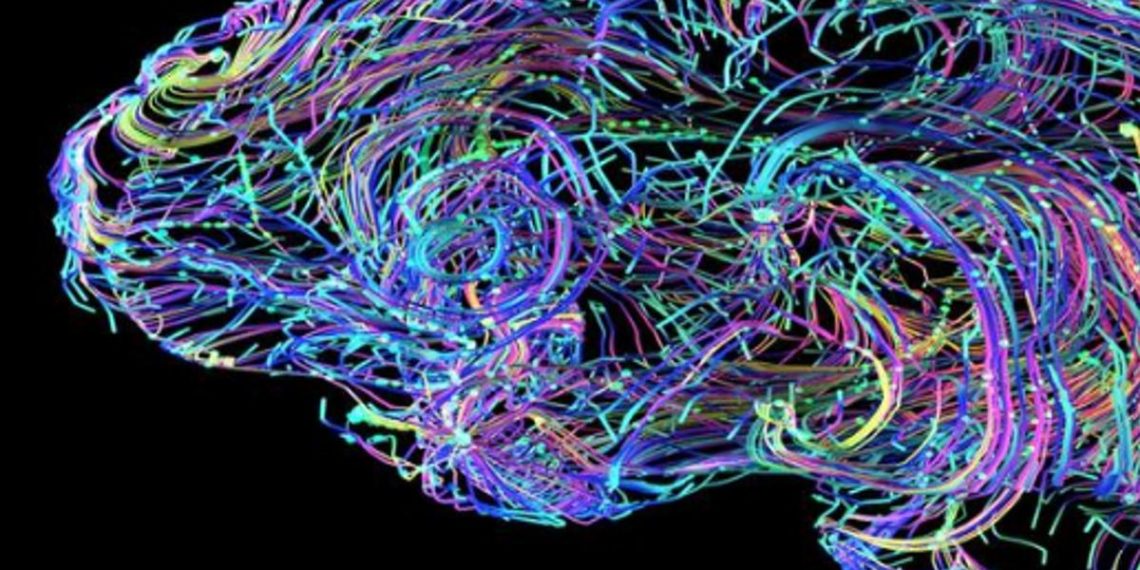 celulas-humanas-chips-informaticos-dishbrain