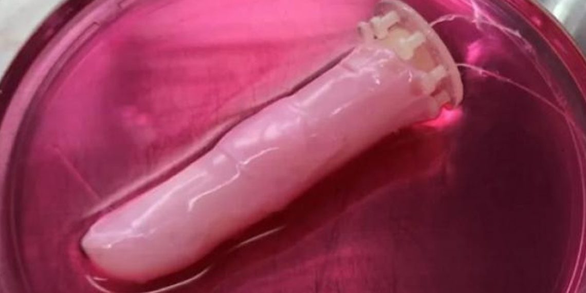 robots-piel-humana-cientificos