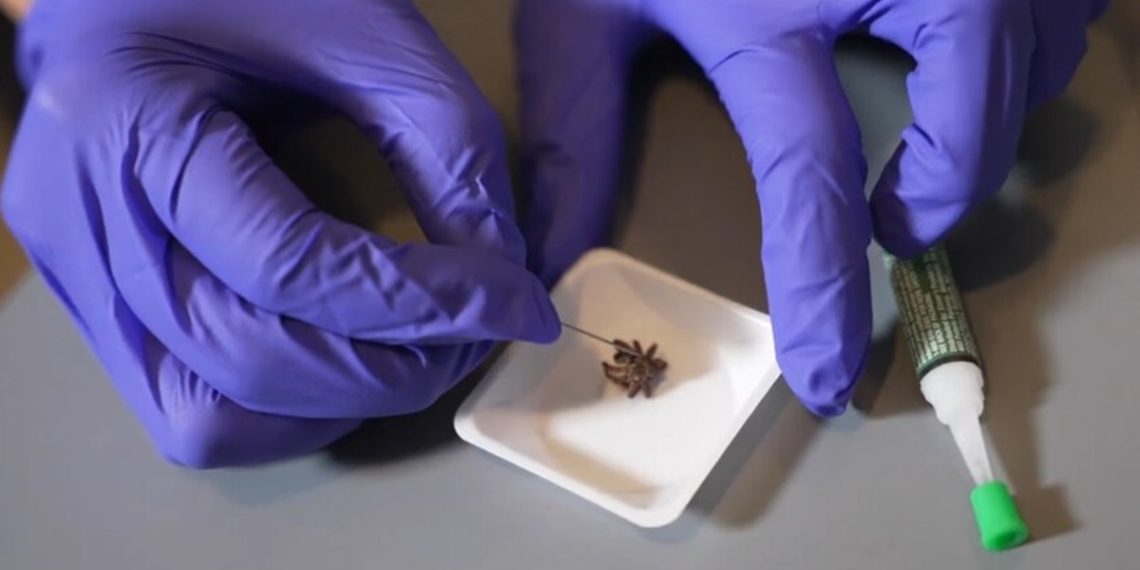 necrobots-arañas-robots