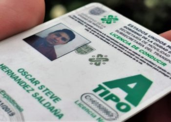 cdmx-licencias-conducir-digital 1