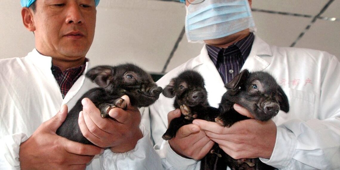 clonacion-animales-laboratorio-2022