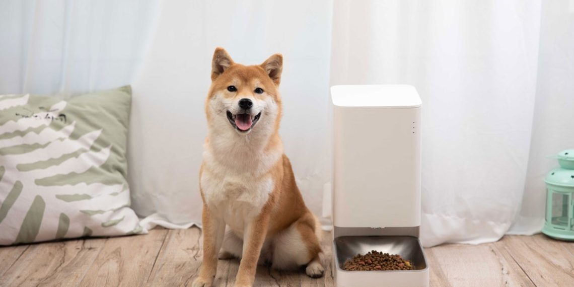 xiaomi-robots-alimentacion-mascotas