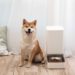 xiaomi-robots-alimentacion-mascotas