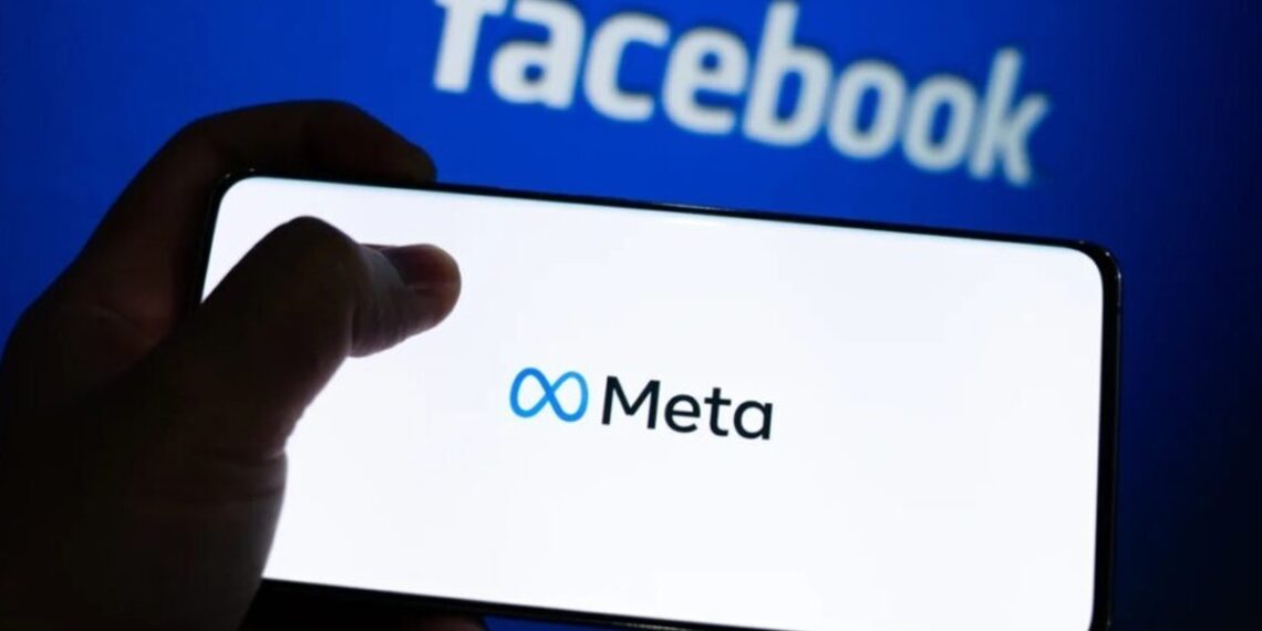 meta-bulletin-newsletter-boletines