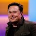 twitter-elon-musk-ceo-red-social