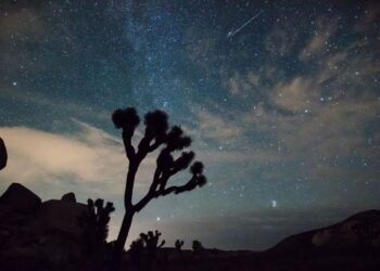 mexico-lluvia-estrellas-leonidas