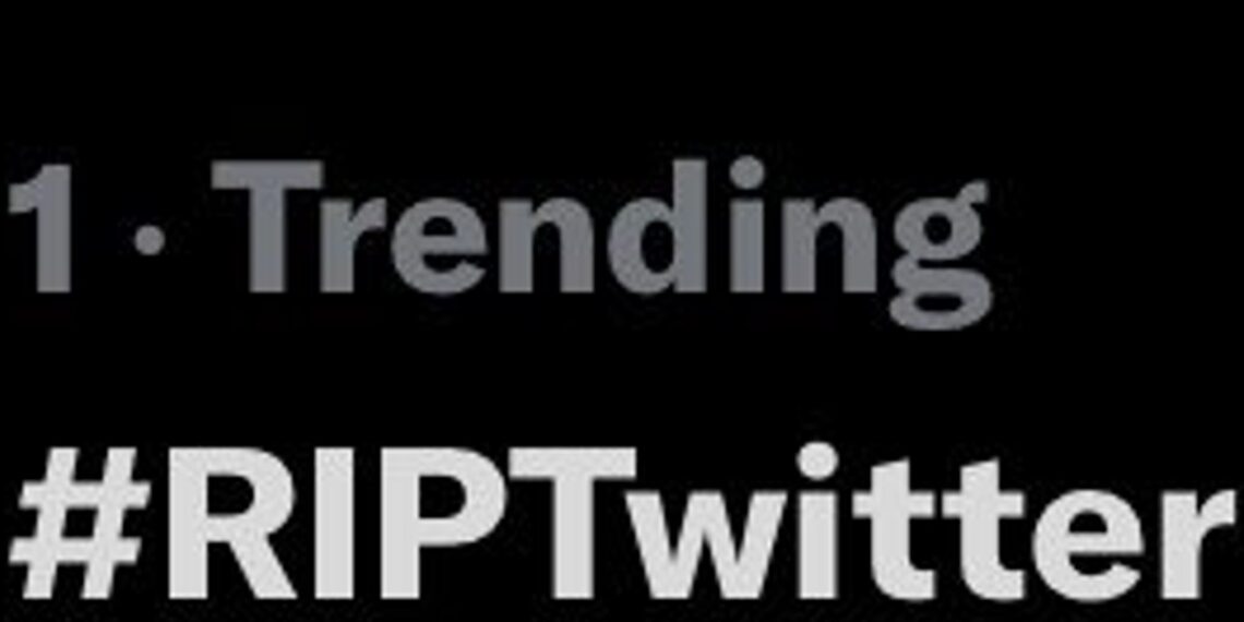 twitter-empleados-caida-elon-musk