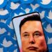 twitter-pasaporte-suplantacion-identidad-elon-musk