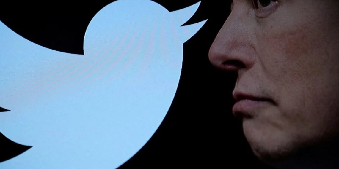 twitter-elon-musk-ingresos-perdido