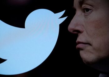 twitter-elon-musk-ingresos-perdido