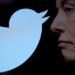 twitter-elon-musk-ingresos-perdido