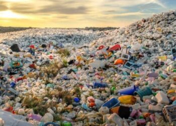 banana-index-medio-ambiente