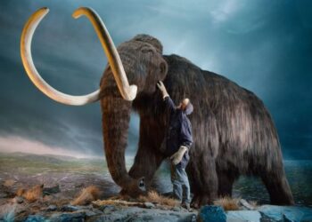 mamuts-resucitacion-estados-unidos 1