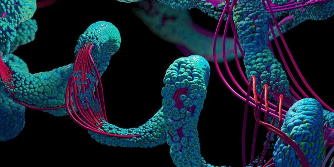 inteligencia-artificial-proteinas-proteinsgm