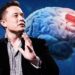 neuralink-humanos-ensayos-elon-musk-fda