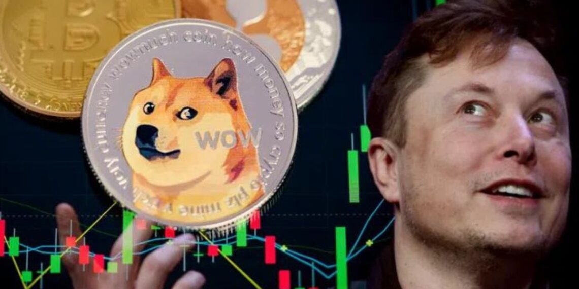 elon-musk-dogecoin-demandado-criptomoneda