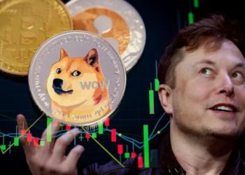 elon-musk-dogecoin-demandado-criptomoneda