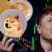 elon-musk-dogecoin-demandado-criptomoneda