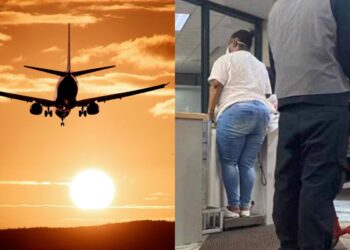 aerolinea-air-new-zeland-pasajeros-pesen