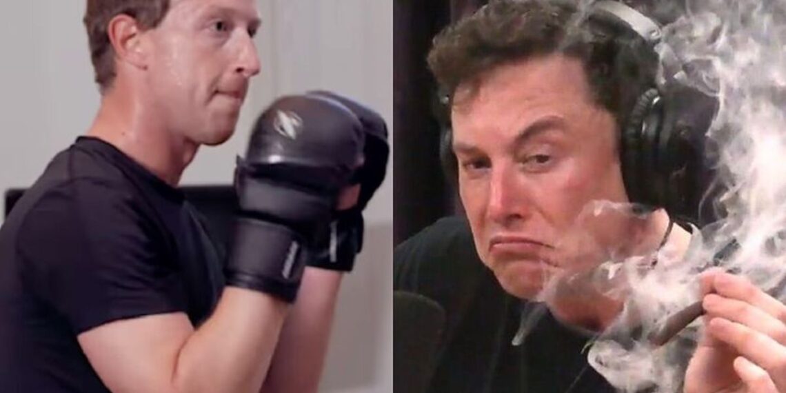 elon-musk-mark-zuckerberg-combate-jaula