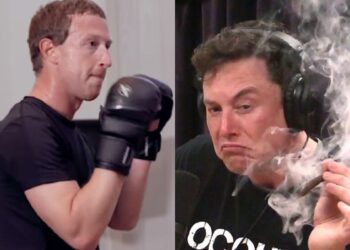 elon-musk-mark-zuckerberg-combate-jaula