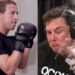 elon-musk-mark-zuckerberg-combate-jaula
