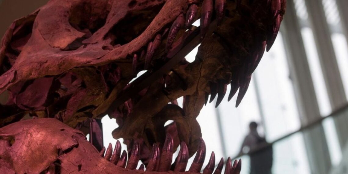 china-nuevo-dinosaurio-restos