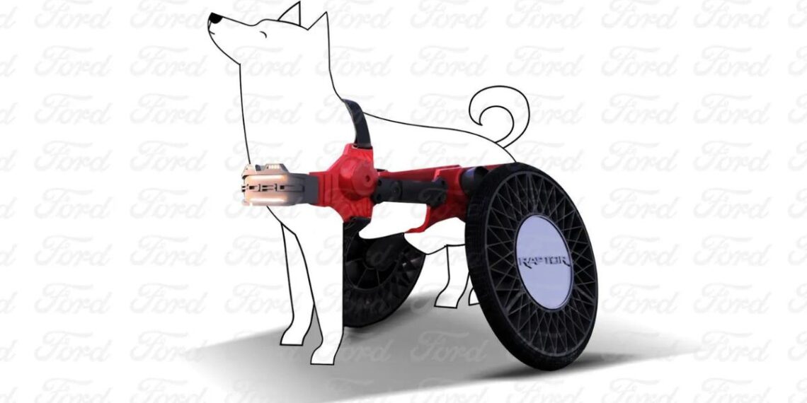 ford-p-raptor-silla-perro 2