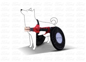 ford-p-raptor-silla-perro 2