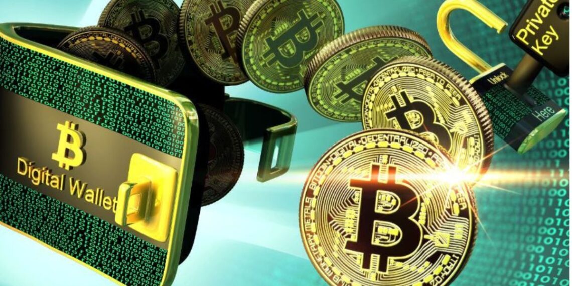 bitcoin-monedero-criptomonedas