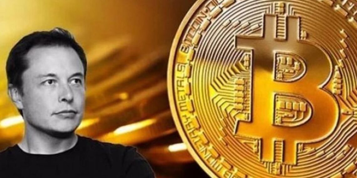 elon-musk-bitcoin-criptomonedas