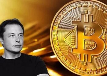 elon-musk-bitcoin-criptomonedas