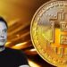 elon-musk-bitcoin-criptomonedas