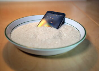 No deberías meter tu iPhone en arroz si se moja: Apple