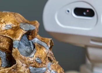 Han desarrollado una IA para investigación arqueológica