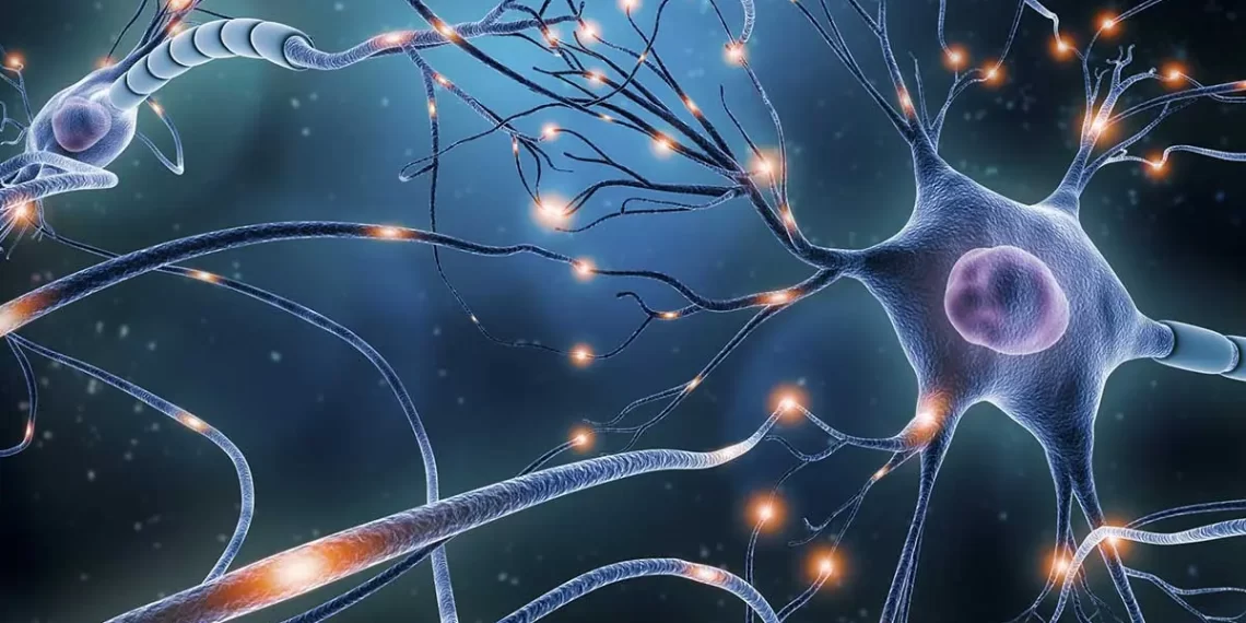 Crean chip para análisis cerebral inspirado en exploración espacial