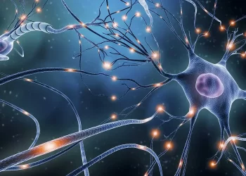 Crean chip para análisis cerebral inspirado en exploración espacial