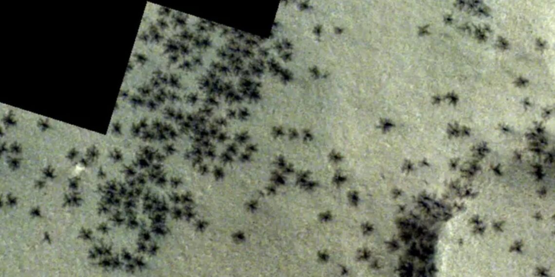 ¡Podría haber vida afuera de la tierra! ¿Hay arañas en Marte?