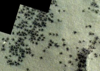 ¡Podría haber vida afuera de la tierra! ¿Hay arañas en Marte?