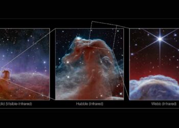 Captan imágenes inéditas de la nebulosa “Cabeza de Caballo”